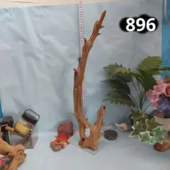 ❤️専用ページ❤️２５７ホーンウツド灰汁抜き硬質流木高さ約５５cm ♥極上 902ホーンウッド灰汁抜き硬質天然流木アクアリウム レイアウト素材