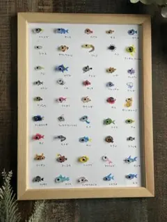 シーグラスアート☆No.473図鑑 海の生き物 ギフトプレゼント