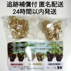 シークレット 金セット やちむん家 新垣優人 シーサーミニチュアフィギュア