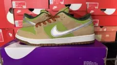【新品未使用】Nike SB Dunk Low Pro 