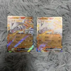レシラム：ポケモンセンター PROMO XYシリーズプロモーションカー