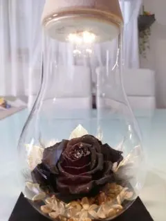 Item thumbnail for item 1b62a0e7-420a-4860-89de-fa6a0e15c0c1