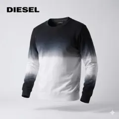 美品 DIESEL グラデーション染め スウェット ジップディテール S 人気
