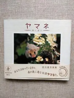 『ヤマネ』　西村豊写真集