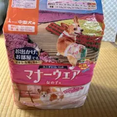 Item thumbnail for item 28cf0dcf-b0c9-47a0-af01-5f347ad8a077