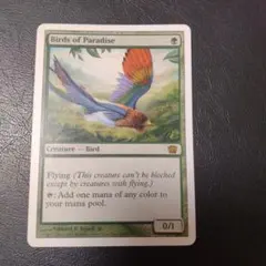 MTG 極楽鳥 旧枠 英語 - メルカリ