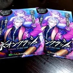 エコーズ・オブ・ザ・ロスト 2枚セット