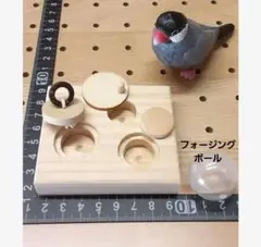 u71　⭐　フォージングトイセット⭐　輪投げ　バードトイ　文鳥　インコ ◇70〗バードトイ フォージングトイ インコ 文鳥 輪投げ フォージング