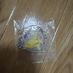 ポケモン ミミッキュ メタルキーホルダー