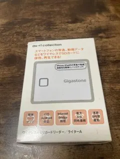 Gigastone SDカードリーダー・ライター-Aのサムネイル