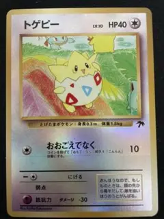 2026年最新】サザンアイランド トゲピーの人気アイテム - メルカリ