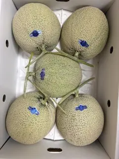 北海道富良野メロン 秀品 品種：レッド113 6玉8キロ - メルカリ