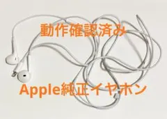 Apple EarPods with Lightning Connector
