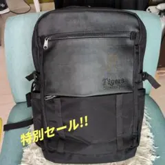 Item thumbnail for item 8237351b-9c9f-4e8c-9dfa-f703675d0f21