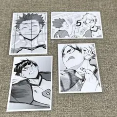 ハイキュー 10th クロニクル 思い出スナップフォトカード 白鳥沢 セット