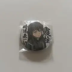 鬼滅の刃 エモーショナル缶バッジ 無一郎 27 - メルカリ