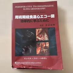 2026年最新】周術期経食道の人気アイテム - メルカリ