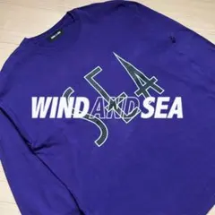 初期ウィンダンシー ロングスリーブTシャツ ステューシー L シュプリーム