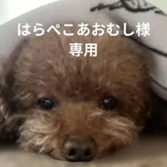 Item thumbnail for item a2a24fb0-df38-4844-a6e2-bd2dc05069f0