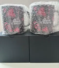 2026年最新】ACID BLACK CHERRY ABCセットの人気アイテム - メルカリ