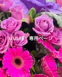 u.u.u様　専用