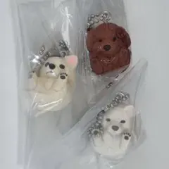 まんまるいぬマスコット3個セット