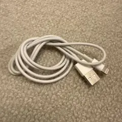Apple Lightning - USBケーブル