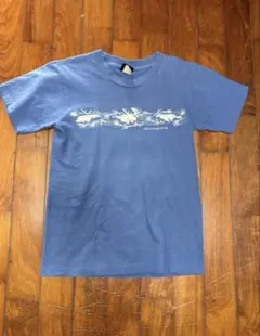 90s USA製 PrairieMountain Tシャツ S シングルステッチ