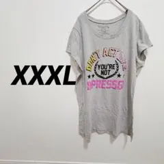 Tシャツ 【XXXL】 グレー 半袖 レディース 大きいサイズ ゆったり 古着