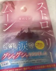 ストロベリームーン 芥川なぎさ