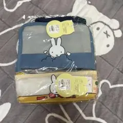 Item thumbnail for item 741d6375-7603-4381-b6f1-607d29196dee