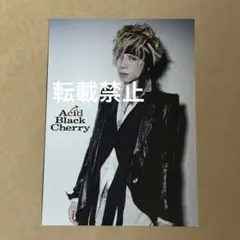 Acid Black Cherry yasu ポストカード 14 - メルカリ