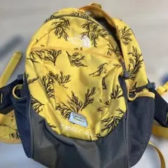 THE NORTH FACE SMALL DAY イエローバックパック