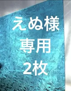 えぬ様 リクエスト 2点 まとめ商品