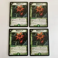 85191 毒吐きダリア