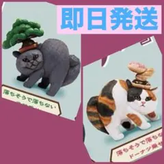 Item thumbnail for item 10b229f5-4702-4d2b-94b6-bb3705e5f906