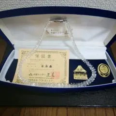 Item thumbnail for item 9359c221-de4d-4741-a7b6-ff0872003872