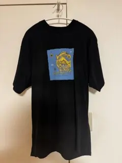 carhartt グラフィックプリント Tシャツ M ブラック