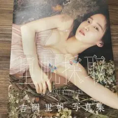 吉岡里帆写真集 里帆採取