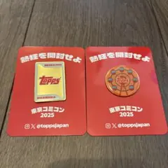 Item thumbnail for item 081e4c72-879f-4857-a00f-98e40590ed1c