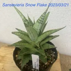 ガレージM様 リクエスト 2点 まとめ商品