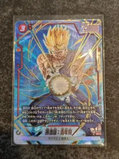 あきの様 リクエスト 2点 まとめ商品