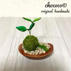 レジンワイヤークラフト ディップアート アメリカンフラワー《ミニミニ苔玉盆栽風》のサムネイル