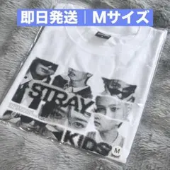 新品未開封 RUN IT JAPAN フォトTシャツ【M】白 スキズ 匿名配送