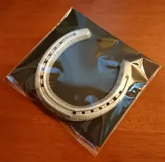 【本物の蹄鉄】馬蹄