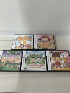 女の子向け　DSソフト　セット