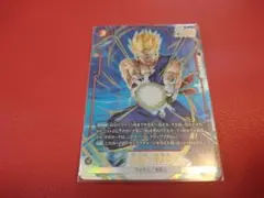 孫悟飯:青年期　パラレル