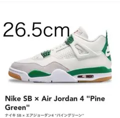 ナイキ SB × エアジョーダン4 