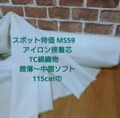 Item thumbnail for item 56b2f1b2-ca55-45b8-b9cd-8f958ebfaa5f