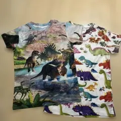 恐竜プリント Tシャツ 140 150 2枚セット